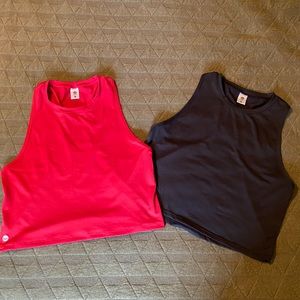 Senita Energy Crop Bundle!